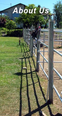 About CF FEnce