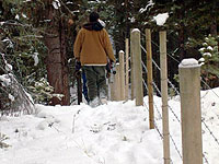 Forestry fencing