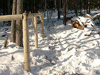 Forestry fencing