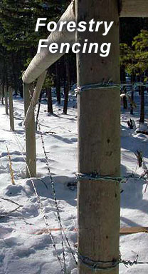 Forestry fencing