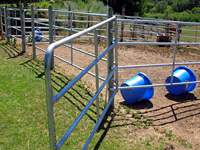 CF Fence�s gates are manufactured with 1 and 5/8 galvanized pipe