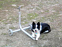 Sprinkler - ground model with wheels