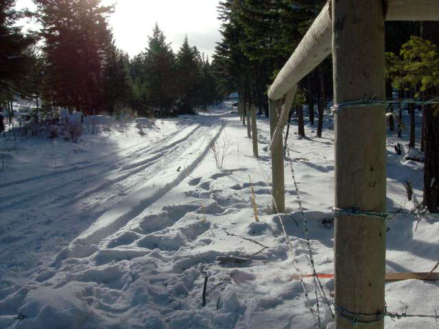 Forestry Fencing
